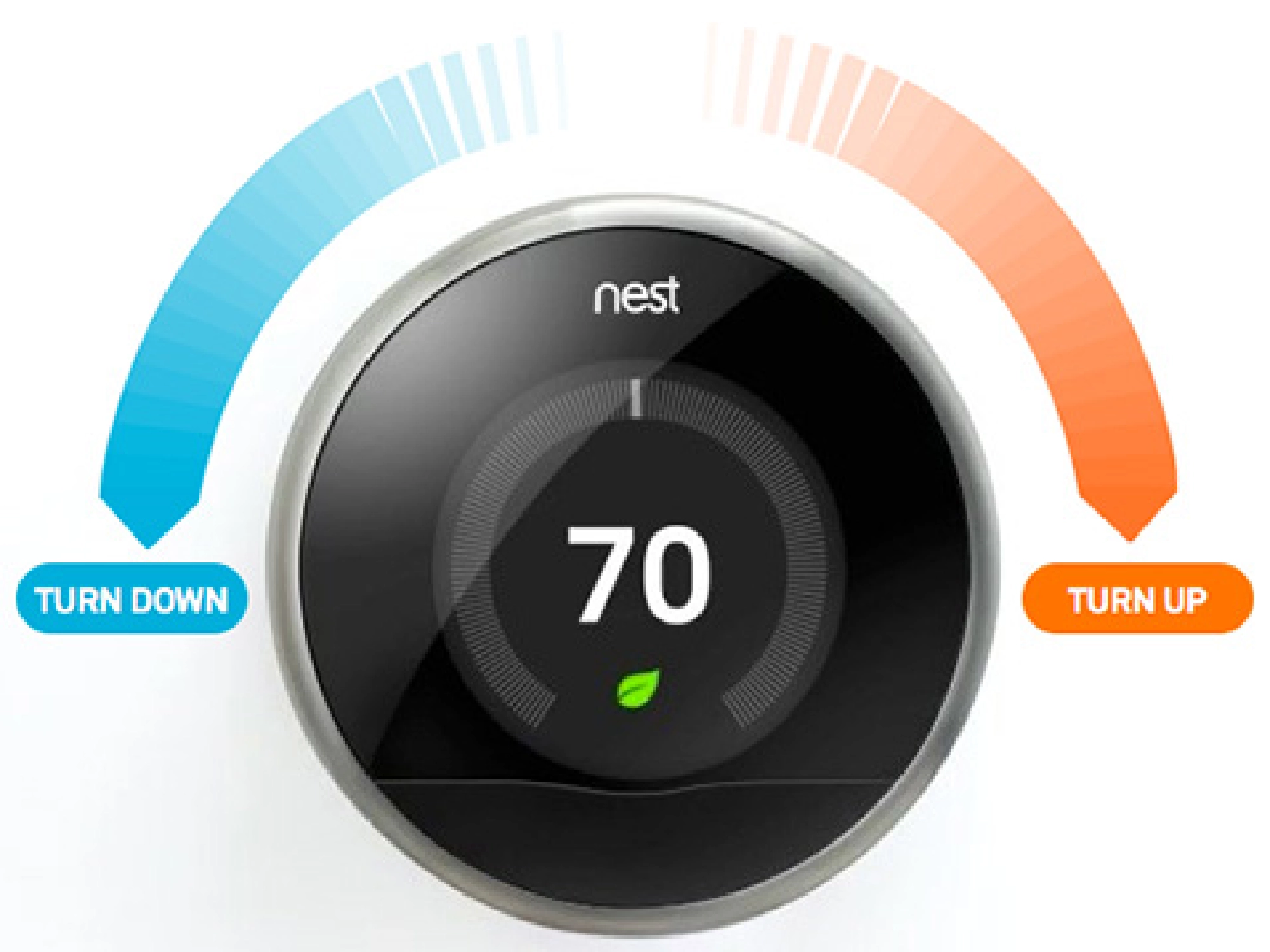 what is better a nest or hive?